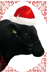 Angustjur God Jul, Tolånga 17