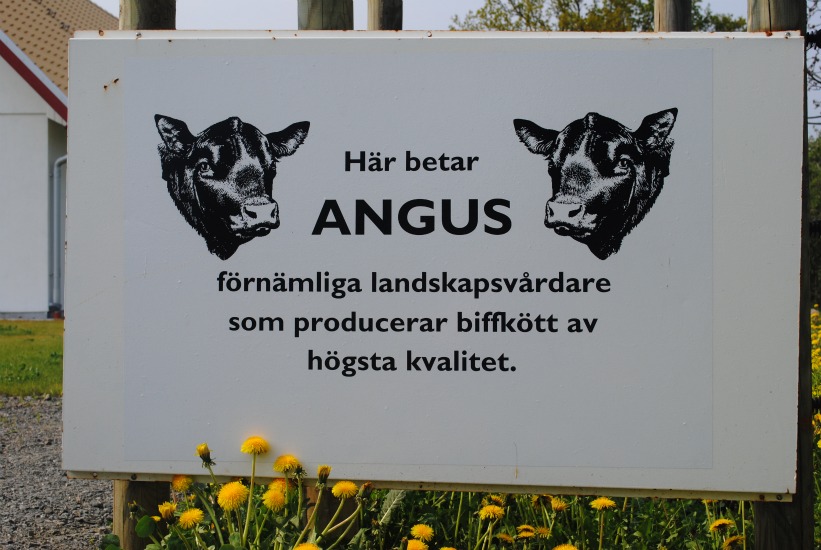 Kosläpp 2011, Tolånga 17